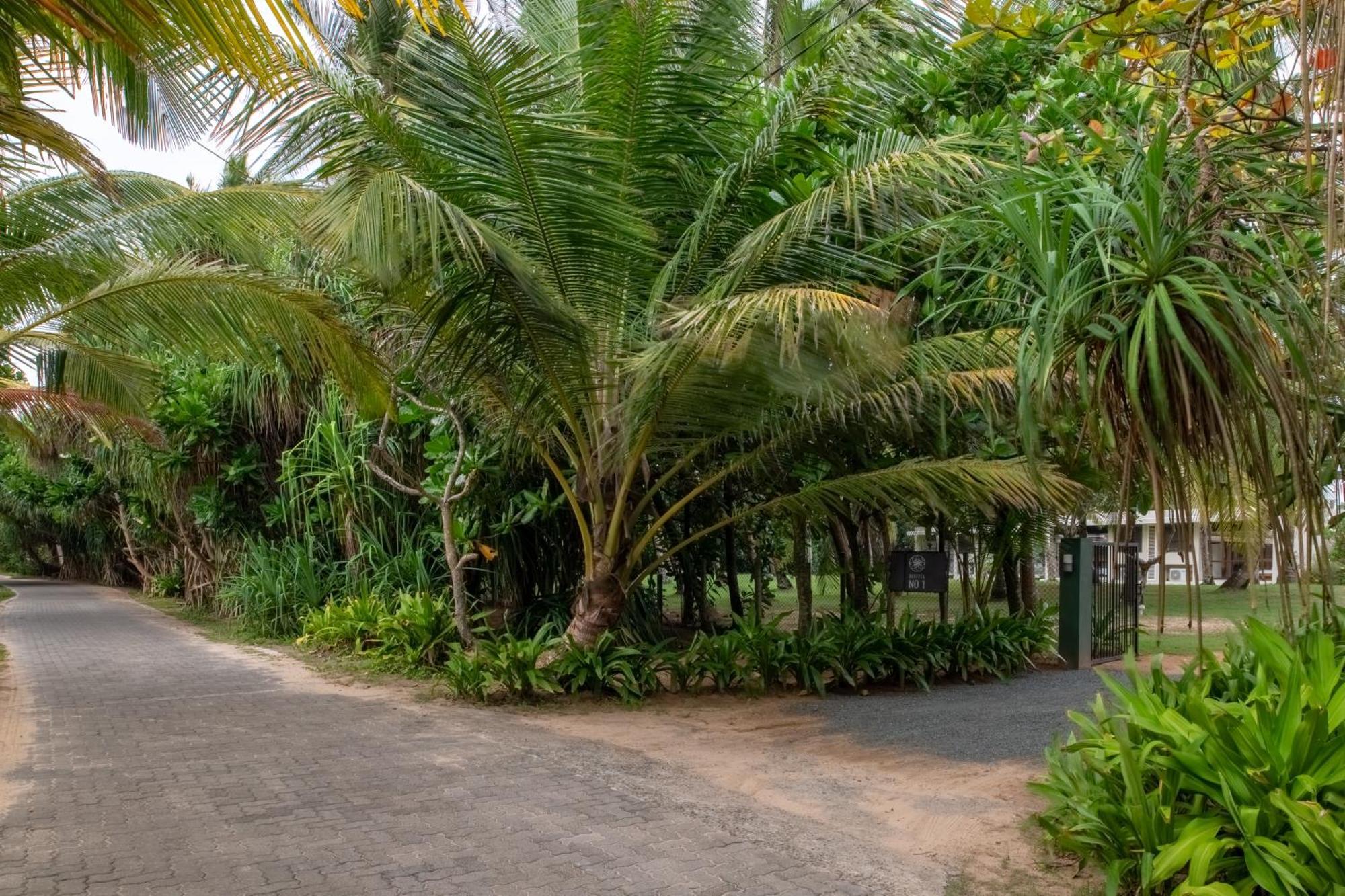 Bentota No 1 Villa ภายนอก รูปภาพ